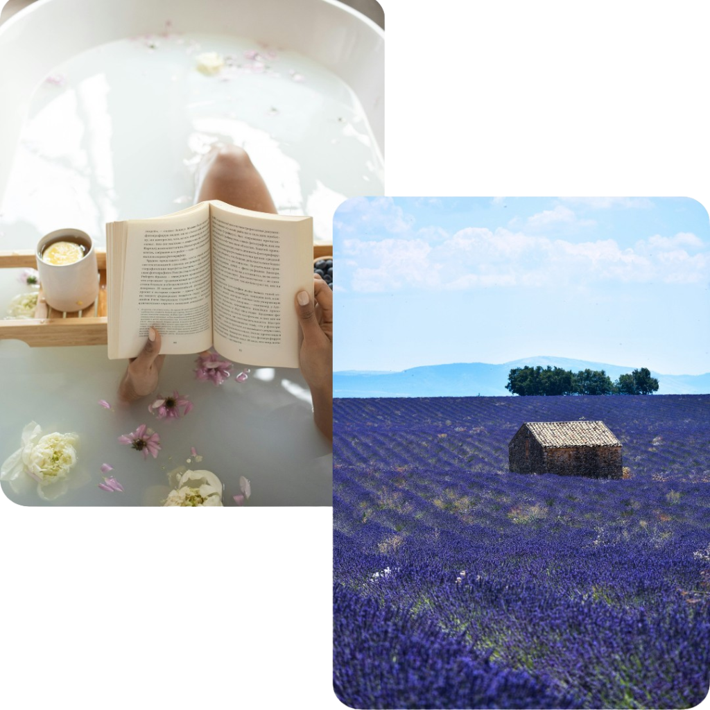 Blanc_Photographique_élégant_Post_Instagram__1_-removebg